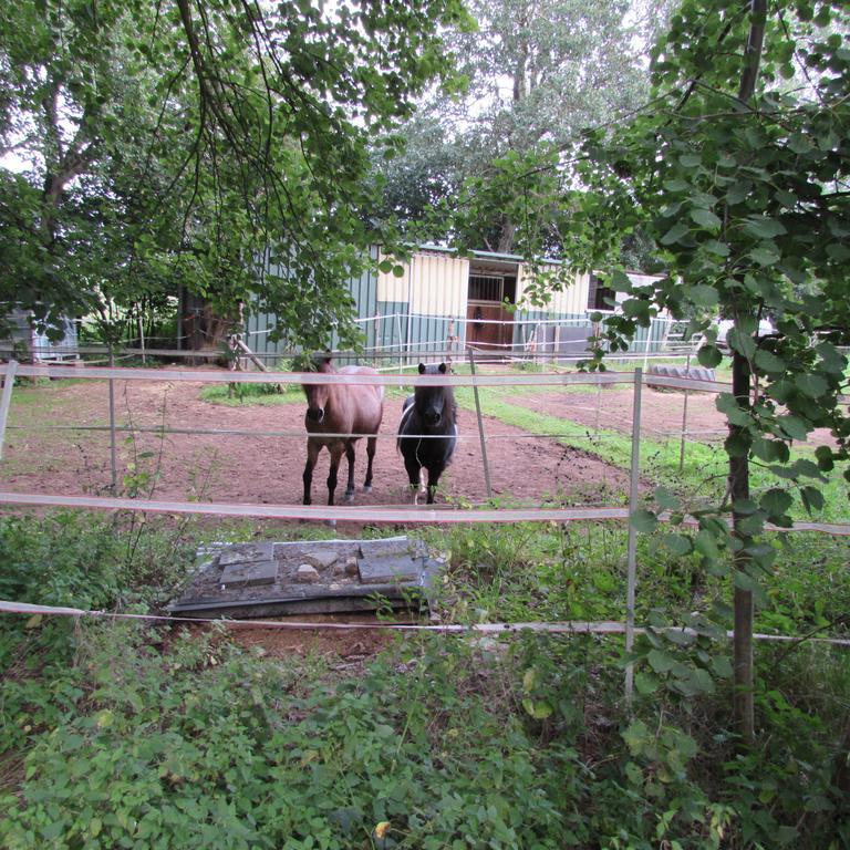 Ferienwohnung "Eifelstueffje" Mechernich Værelse billede